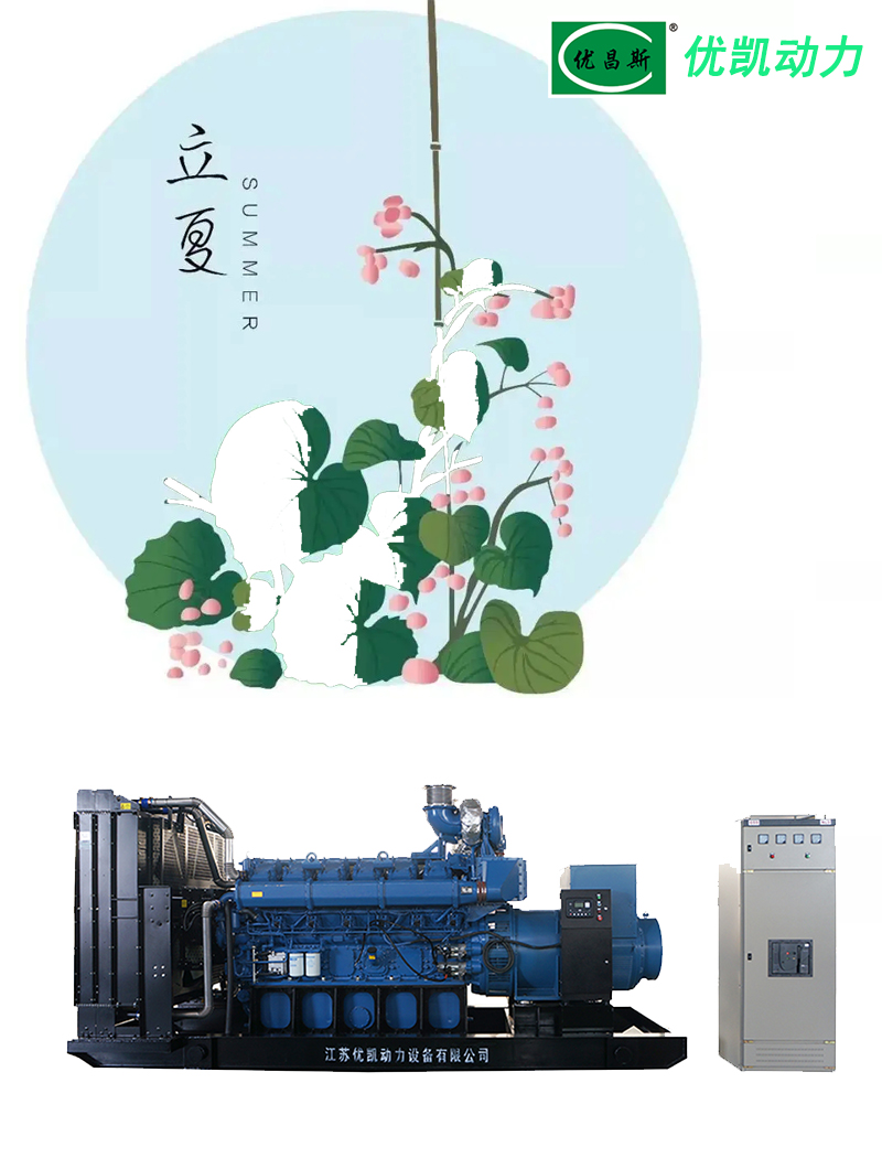 柴油發電機組