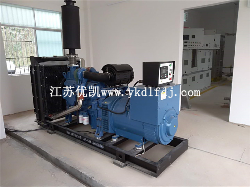 200KW玉柴發(fā)電機組