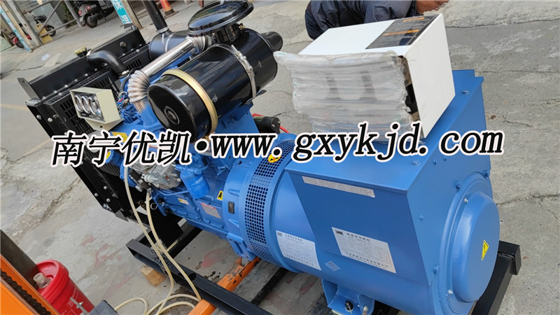 50KW雷納發電機組