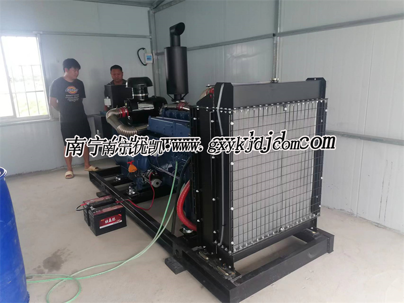 250KW濰坊雷納柴油發電機組