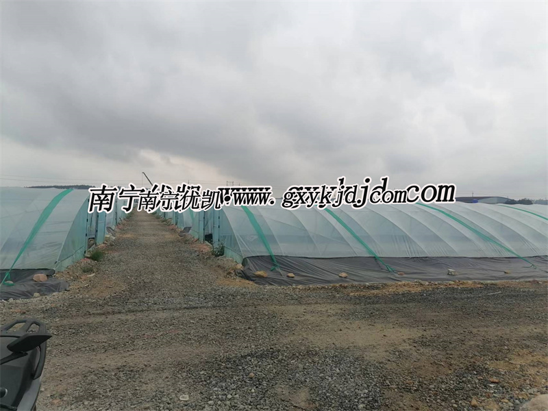 柴油發電機組控制系統