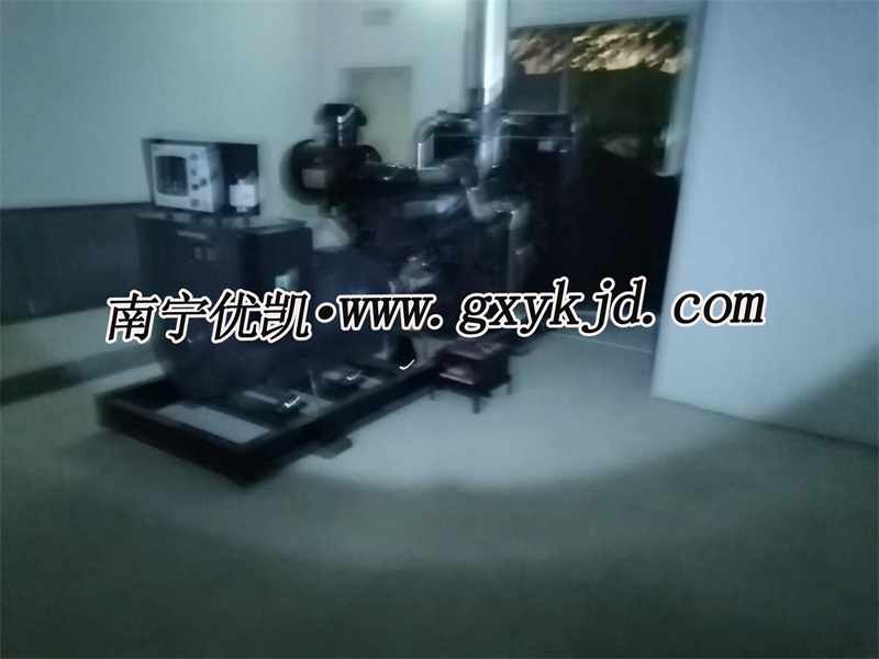 250KW上柴發電機組
