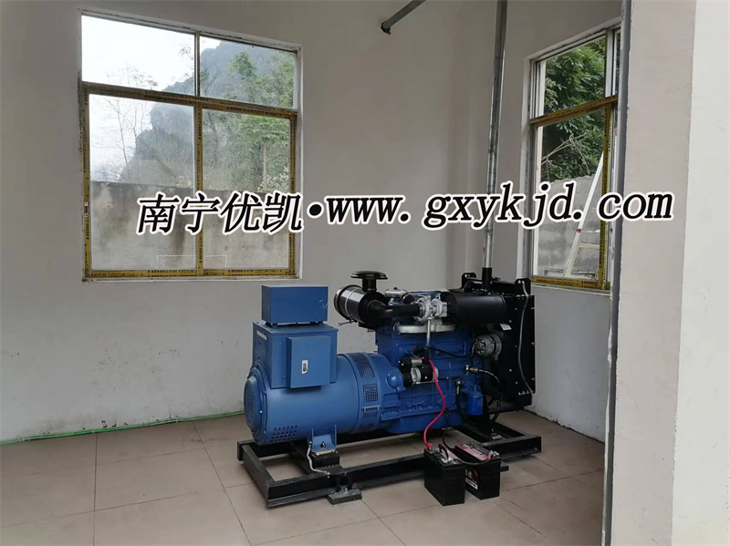 50KW雷納發電機