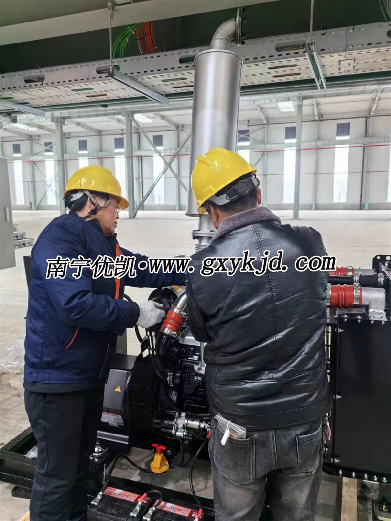 東風(fēng)康明斯發(fā)電機(jī)