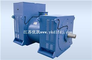斯坦福無刷三相交流同步發電機系列