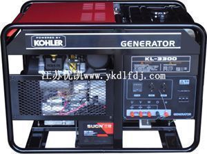 16KW美國科勒動力汽油發電機組