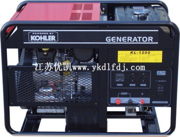 20kw美國科勒動力汽油發電機組