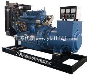 濰坊雷納30KW柴油發電機組