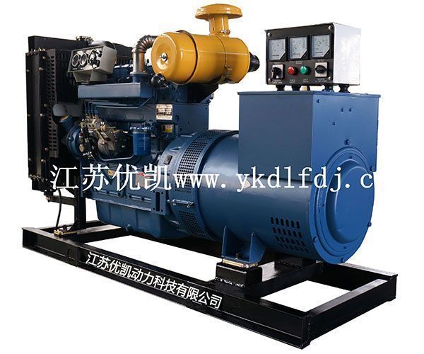 濰坊雷納40KW柴油發電機組