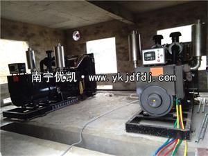 廣西欽州某牧業公司再次采購500KW上柴發電機組兩臺養豬場備用電源交貨現場