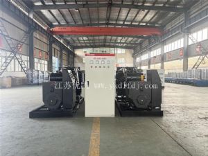 2024年1月，200KW東風康明斯發電機組2臺+ATS發往國外