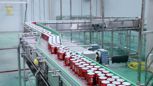 河北棗能元食品獲評 中國經(jīng)濟(jì)十大科技創(chuàng)新力企業(yè)