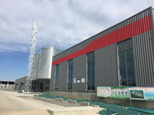 厚生生物科技公司洛寧油脂廠春節后投產