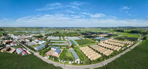 長春市現(xiàn)代菌物產(chǎn)業(yè)科技成果轉(zhuǎn)化示范基地揭牌暨首屆中國 長春 靈芝孢子粉采收節(jié)啟動儀式在凈月高新區(qū)舉行