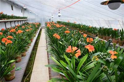 吉林省長春市:全國推進農業現代化優秀城市案例