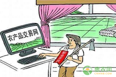 數(shù)字技術(shù)賦能，郵路變富路 中國(guó)郵政電商精準(zhǔn)扶貧引領(lǐng)返鄉(xiāng)創(chuàng)業(yè)新浪潮